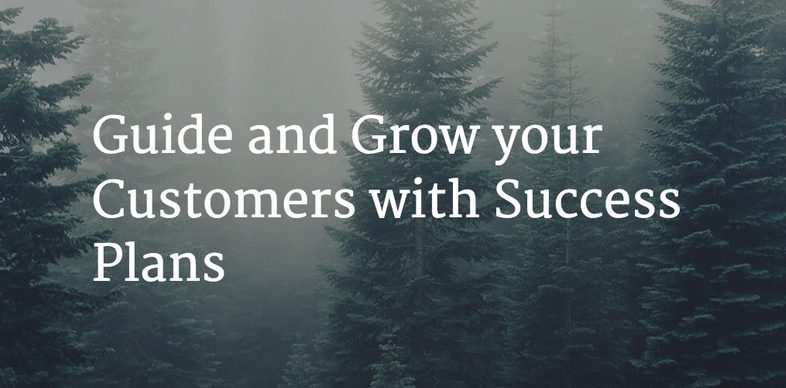 Guide and Grow your Customers with Success Plans Image