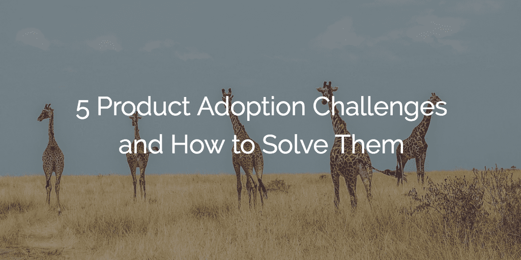 5 Product Adoption Challenges and How to Solve Them Image