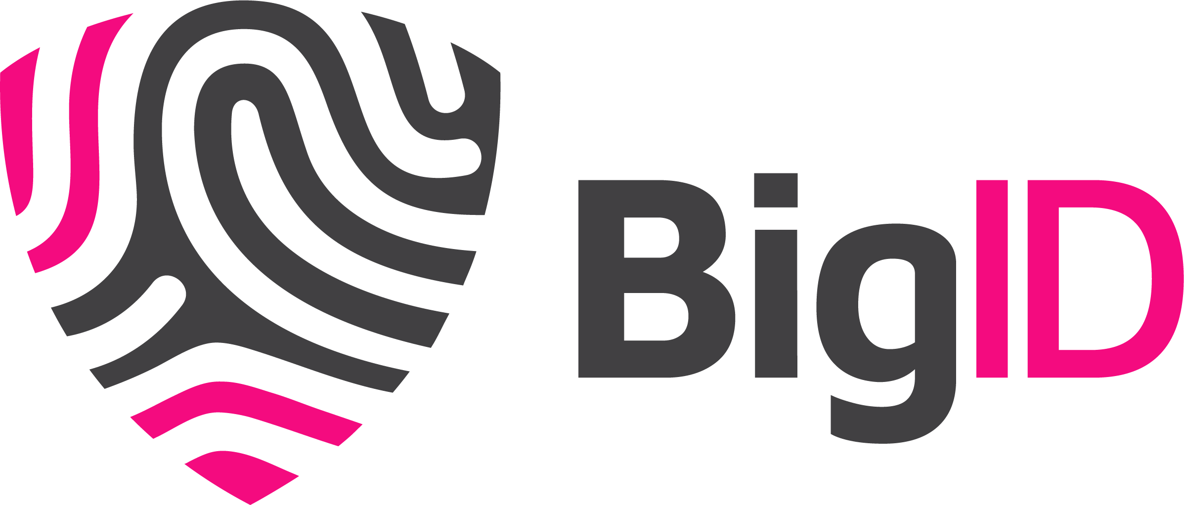 BigID logo