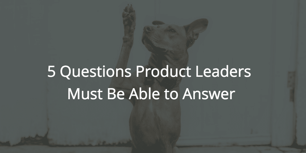 5 Questions Product Leaders Must Be Able to Answer Image