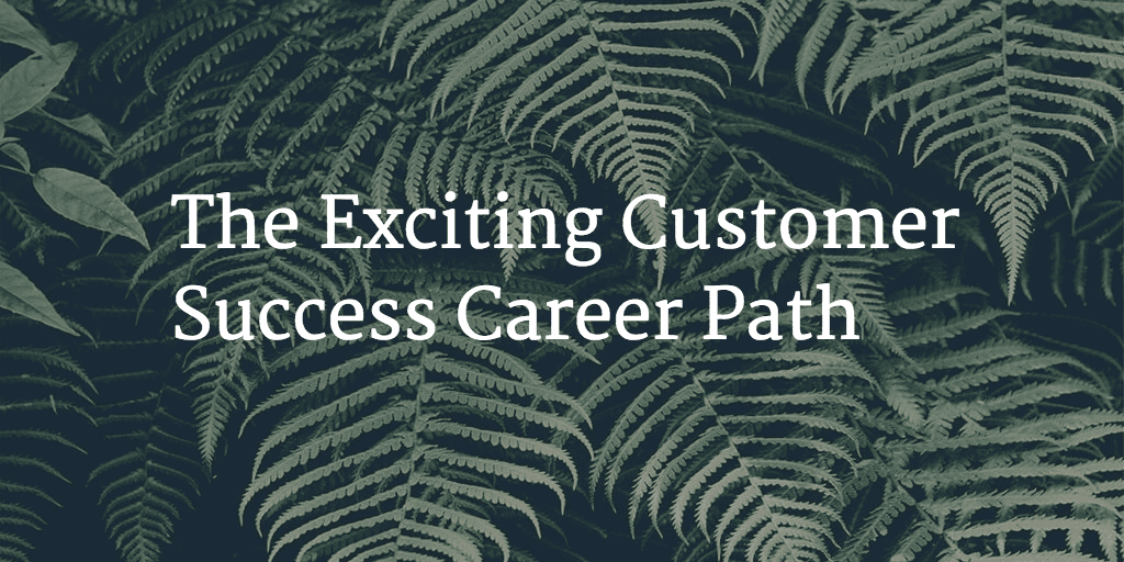 The Exciting Customer Success Career Path Image